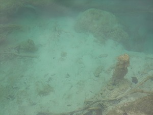 DSC00750_R