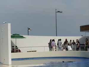 DSC05654_R