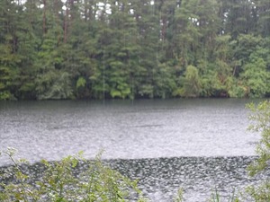 DSC08685_R
