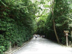 DSC07375_R