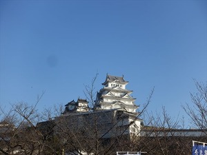 DSC01188_R