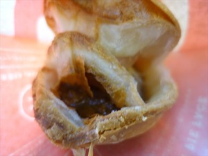 DSC04556_R