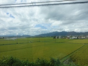 DSC07278_R
