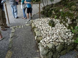 DSC07449_R