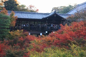 IMG_4715