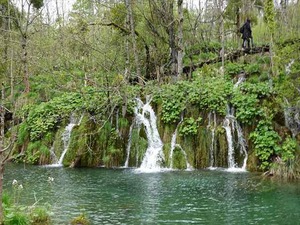 DSC00799_R