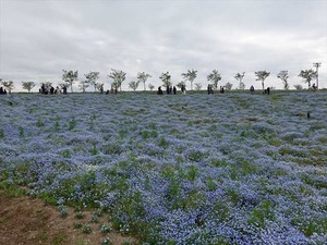 DSC00127_R