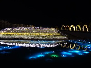 DSC02617_R