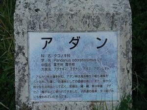 DSC07399_R