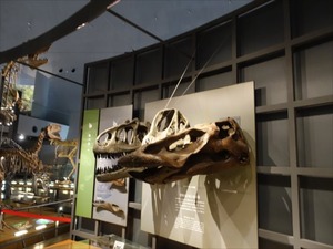 DSC04981_R