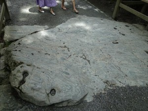DSC07363_R