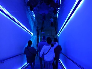 DSC09494_R