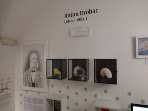 DSC02095_R