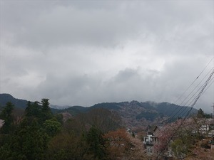 DSC08937_R