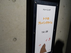 DSC05618_R