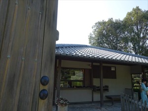 DSC00064_R