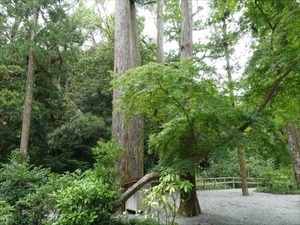 DSC07324_R
