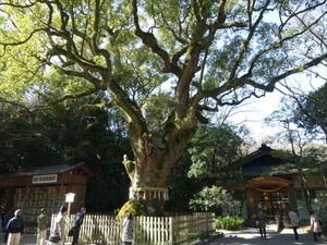 DSC02161_R