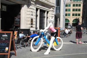 IMG_6572