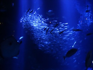 DSC07798_R