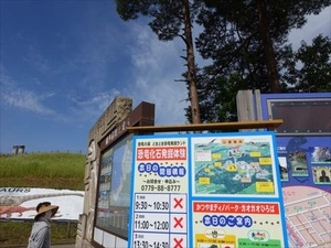 DSC04947_R