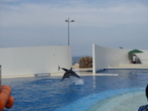 DSC05633_R