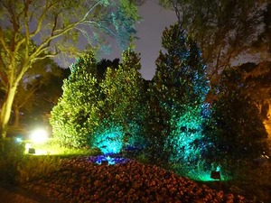 DSC03682_R