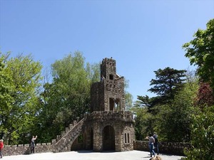 DSC06875_R