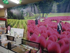 DSC07245_R