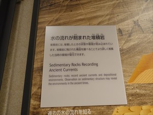 DSC05054_R