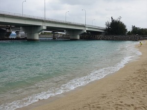 DSC03719_R