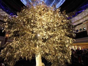 IMG_4920_R