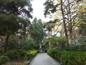 DSC01025_R