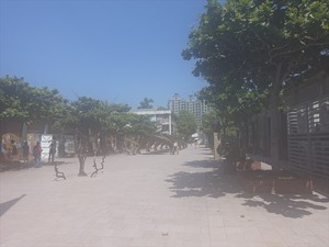 DSC00996_R