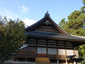 DSC00917_R