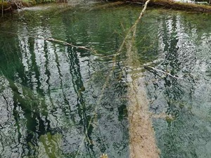 DSC00722_R