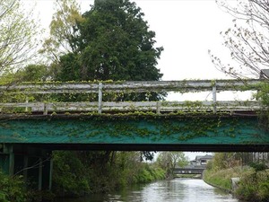 DSC04629_R