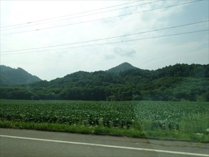 DSC05838_R