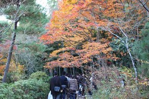 IMG_8994