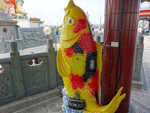 DSC00553_R