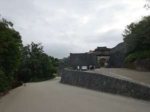 DSC07884_R