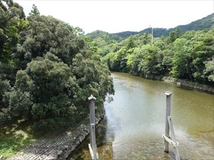 DSC07414_R