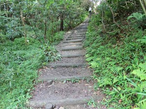 IMG_7121_R