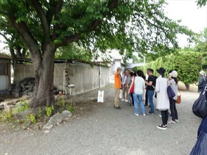 DSC08326_R