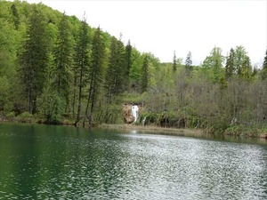 DSC00771_R