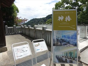 DSC01465_R