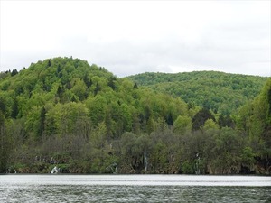 DSC00704_R