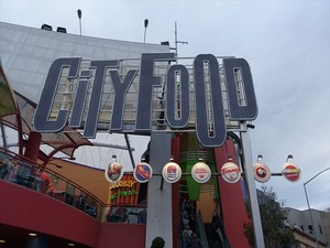 DSC07459_R