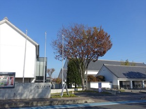 DSC04656_R