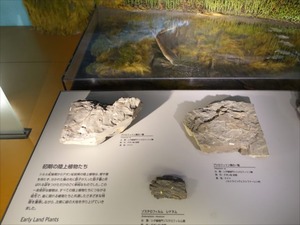 DSC05083_R